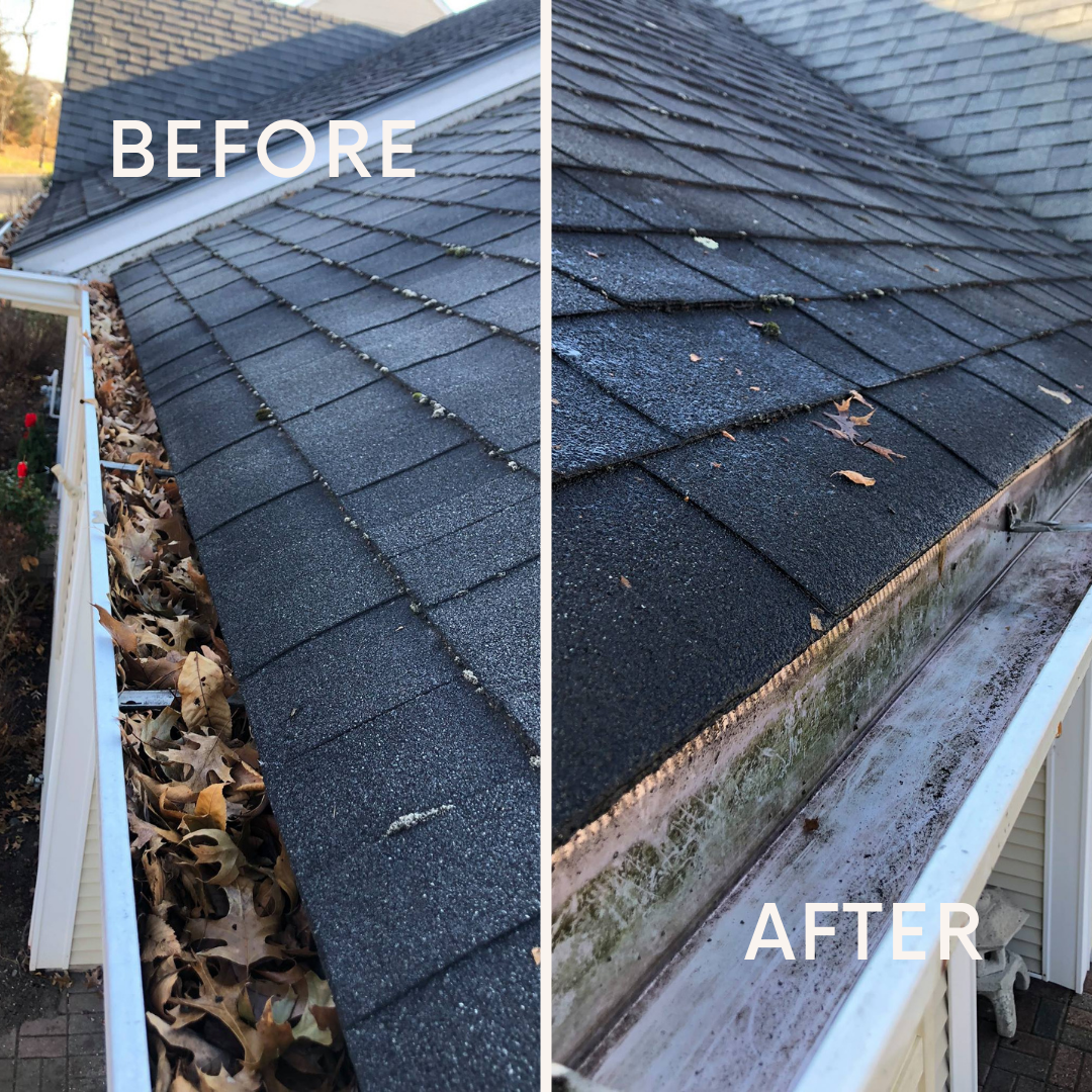 Before and After gutter Service