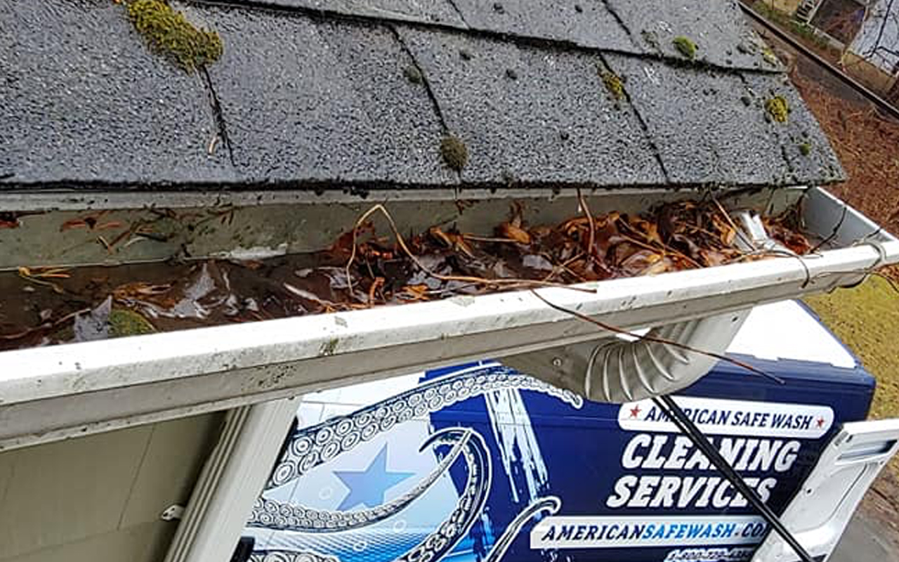 gutter-cleaning