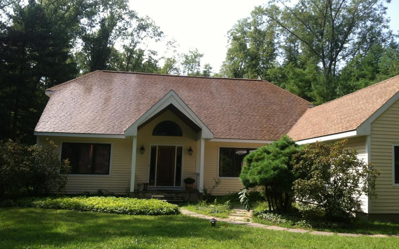 roof-cleaning